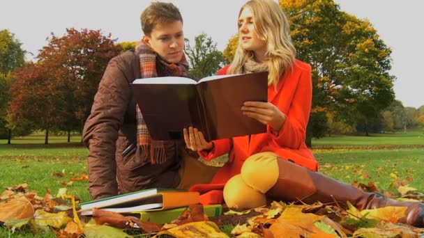 Studenten mit Arbeit im Park — Stockvideo