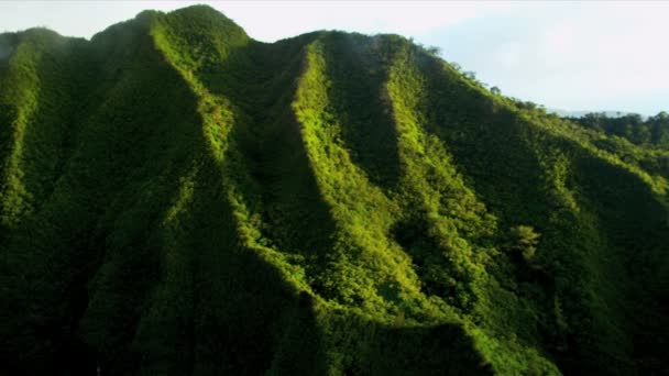 Ηφαιστειακά βράχια με μια πλούσια τροπικά φυλλώματα, Χαβάη — Αρχείο Βίντεο
