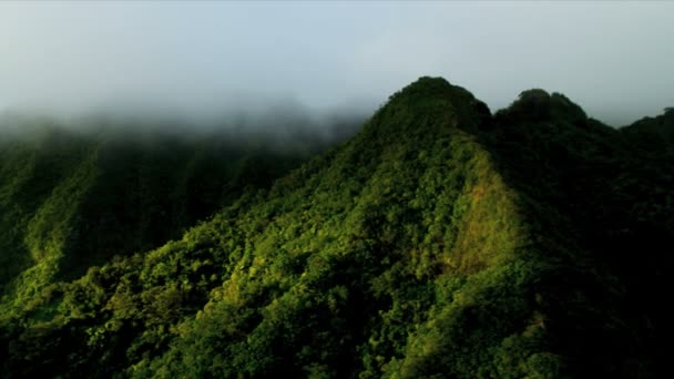 Vulkáni sziklák egy gazdag trópusi növényzet, Hawaii — Stock videók