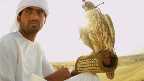 Arabische man met opgeleide falcon — Stockvideo