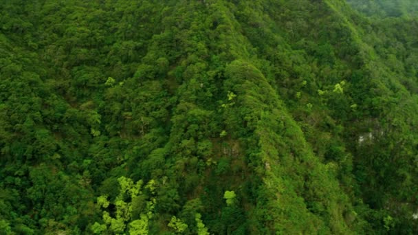 Vulkanische rotsen met een rijke tropische gebladerte, Hawaii — Stockvideo