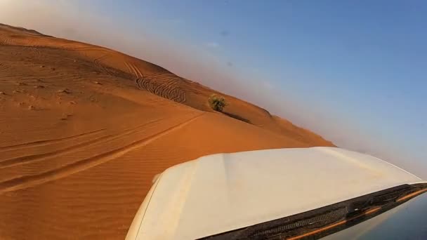 Véhicule tout terrain sur une dune déserte — Video