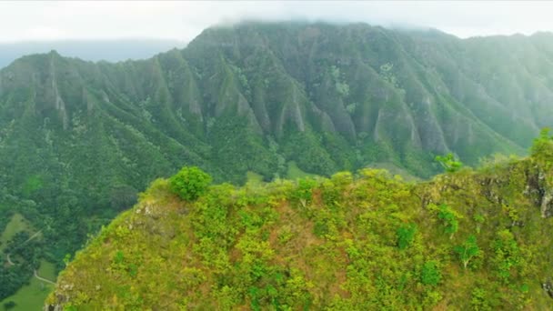 Volcanic cliffs with a rich tropical foliage, Hawaii — Stock Video