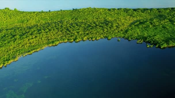 Bovenaanzicht van de natuur in florida — Stockvideo