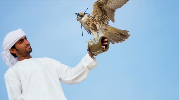 Arabische man met opgeleide falcon — Stockvideo