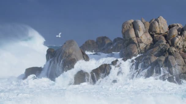 Ondas do mar quebram no mar — Vídeo de Stock