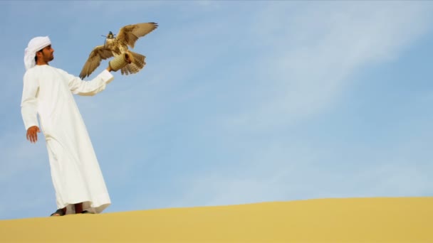 Arab man with trained falcon — Stock Video