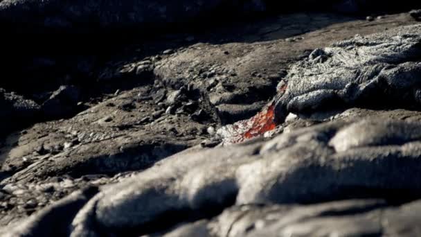 Zerstörerischer Fluss heißer vulkanischer Lava — Stockvideo