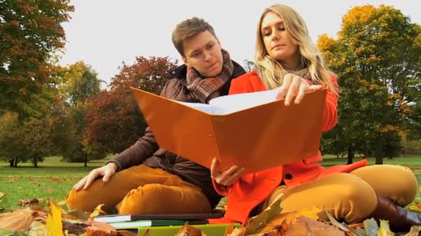 College students sharing ideas   country park — Stock Video