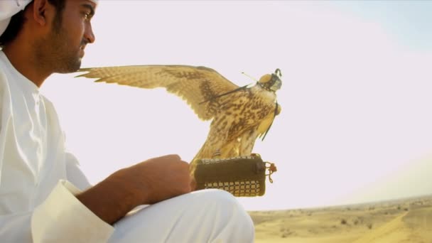 Araber mit ausgebildetem Falken — Stockvideo
