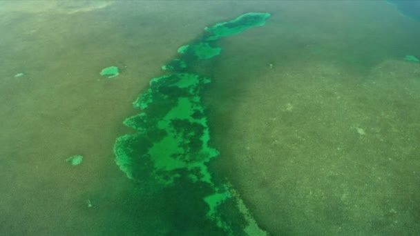Vista aérea del mar de color acuático en aguas poco profundas de la laguna Bahía de Vizcaya, Florida — Vídeos de Stock