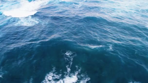 Vue aérienne des vagues océaniques — Video