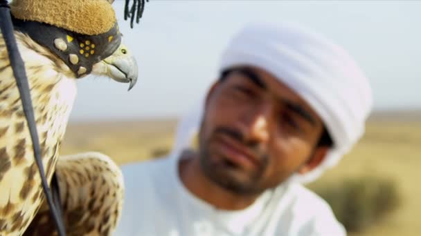 Arabische man met opgeleide falcon — Stockvideo