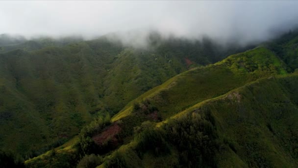 豊富な熱帯植物、ハワイの火山の崖 — ストック動画