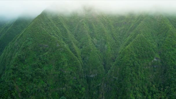 Volcanic cliffs with a rich tropical foliage, Hawaii — Stock Video