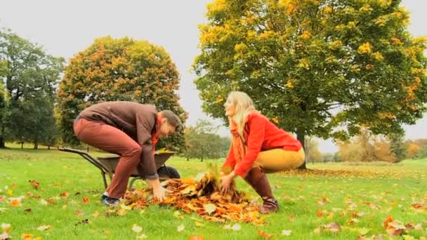 Jonge gezonde paar dag in het park — Stockvideo