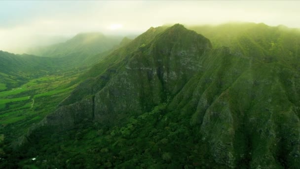 Volcanic cliffs with a rich tropical foliage, Hawaii — Stock Video