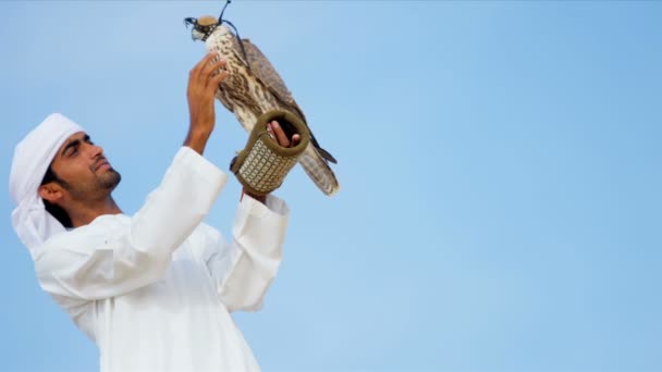 Arabische man met opgeleide falcon — Stockvideo