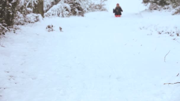 Chica deslizándose por la nieve cubierta colina — Vídeos de Stock