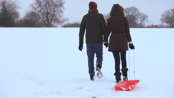 Adults walking across thick park — Stock Video