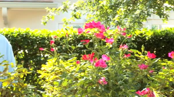 Voormalig etnische paar neigt bloemen in tuin — Stockvideo