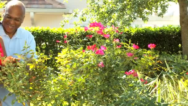 Pareja madura étnica poda plantas en el jardín — Vídeos de Stock