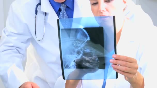 Doctores y doctores discutiendo pruebas de rayos X — Vídeo de stock