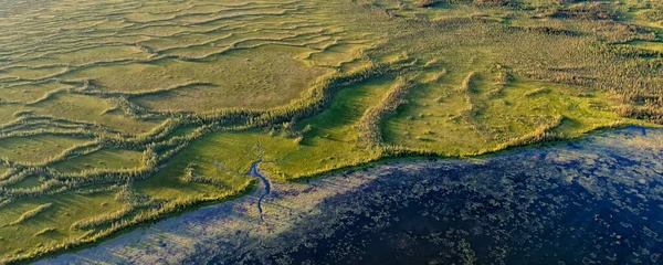 Aerial Panoramic View Canadian Wetland Remote Wilderness Mcclelland Lake Alberta — Stock Photo, Image