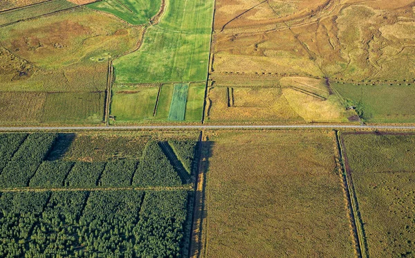Vista Aérea Los Cultivos Agrícolas Ecológicos Islandeses Campo Verde Suelo — Foto de Stock