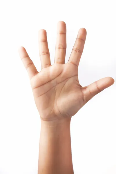 Cinco dedos em uma mão Imagem De Stock