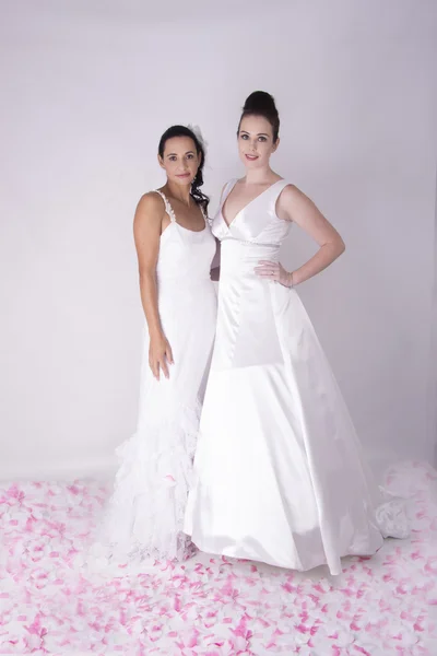 Dua mempelai wanita muda yang cantik mengenakan Gown pengantin wanita — Stok Foto