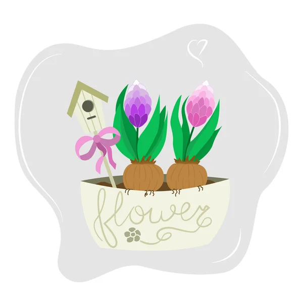 Spring Flowers Pot Decor Form Birdhouse Hyacinths Room Pot Vector — Stock Vector