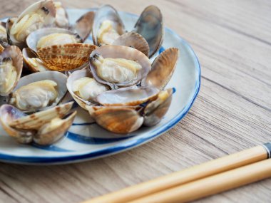 Fresh food ingredients clams, Shellfish