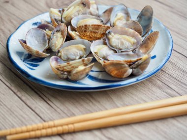 Fresh food ingredients clams, Shellfish