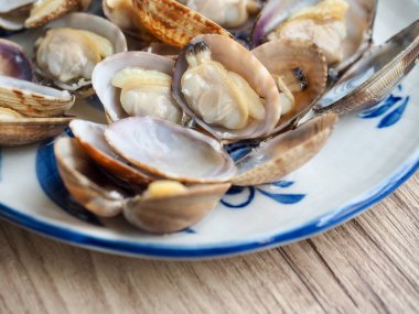 Fresh food ingredients clams, Shellfish