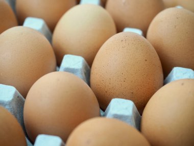 Taze kahverengi yumurta, yemek, yemek malzemeleri.