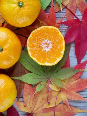Taze meyve turunçgil, mandalina, akçaağaç yaprağı.