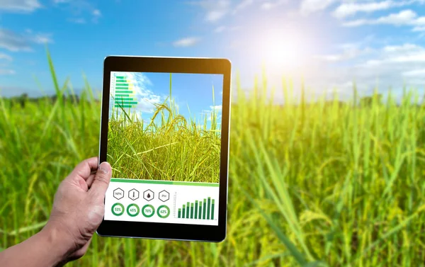 Powered Smart Farming Next Generation Smart Farming Technology Agriculture — Fotografia de Stock