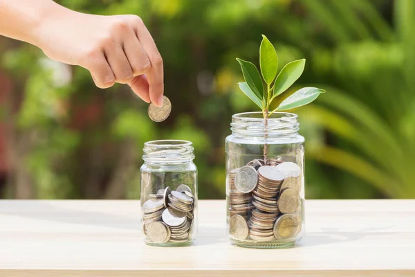 Para tasarruf, yatırım, gelecek, mali servet yönetimi kavramı için para kazanmak. Fon büyüme ve servet sikke cam kavanoz ve büyüyen ağaç bitki yığılmış sikkeler üzerinde tutan bir adam el gösteriyor.