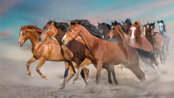 Caballos Carrera Libre Tormenta Del Desierto Contra Cielo Puesta Del —  Fotos de Stock