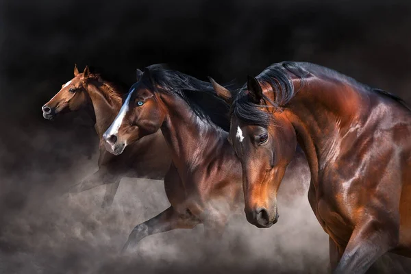 Três Cavalos Com Crina Longa Movimento Contra Fundo Escuro — Fotografia de Stock