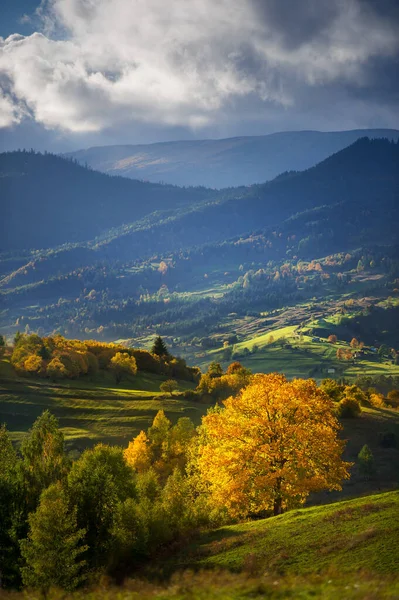 Puesta Sol Otoño Las Montañas Colorido Bosque Otoñal Montañas Cárpatos —  Fotos de Stock