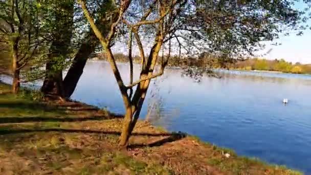 Maschsee Hanover Germany Sunny Day — Vídeo de Stock