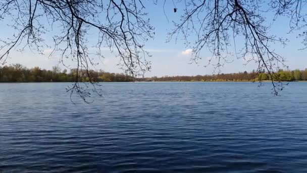 Maschsee Hanover Germany Sunny Day — Stockvideo