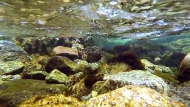 Beautiful river in wild nature of Norway near Aenes, slow motion