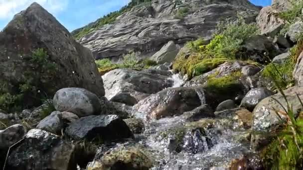 Norway Buarbreen Flowing Stream Fresh Water Clear — ストック動画