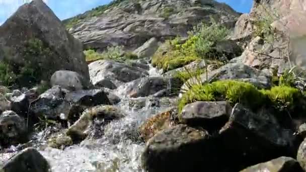 Norway Buarbreen Flowing Stream Fresh Water Clear — ストック動画