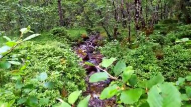 Beautiful stream in wild nature of Norway near Aenes, slow motion