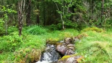 Beautiful stream in wild nature of Norway near Aenes