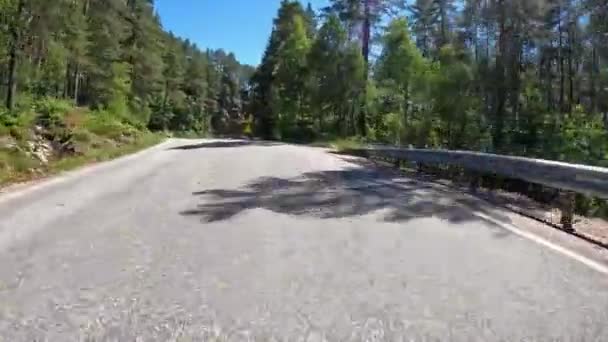 First Person View Nordic Two Lane Road Forest Mountains — ストック動画